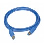 Kabell Gembird USB 3.0 A-Plug B-Plug 0.5 m Cable