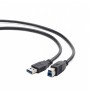 Kabell Gembird USB 3.0 A-Plug B-Plug 0.5 m Cable