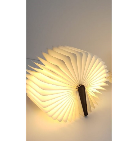 ABAZHUR I PERSONALIZUAR `BOOK LAMP`