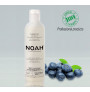 Shampo Noah anti yellow kunder zverdhjes se flokut 250 ml