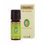 VAJ ESENCIAL YLANG YLANG