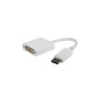 Konvertues DisplayPort to DVI 15 cm