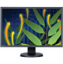 Monitor Eizo 24 EV2436