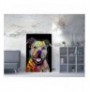 Kanavac Wallxpert WY163 (50 x 70) Multicolor