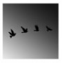 Decorative Metal Wall Accessory Wallxpert Pigeons - 289 Black