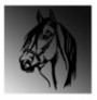 Decorative Metal Wall Accessory Wallxpert Horse Head Black