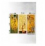 Pikture MDF (3 Pieces) Wallxpert MDF0067 Multicolor