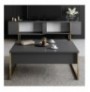 Mobilje TV Hannah Home Luxe - Anthracite, Gold