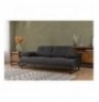 2-Seat Sofa-Bed Hannah Home Mustang - Anthracite Anthracite