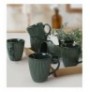 Set Filxhan (6 Pc) Hermia ST057006FRA5A839700MAET900 Green