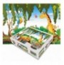 Puzzle 54CPUZZLE - 007 Multicolor