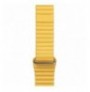Smart Watch Band BND01384041YLLLE Yellow 38-40-41