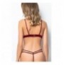 Bra & Panties Set 001-000037 - Claret Red