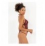 Intimo 001-000376 - Claret Red