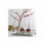 Set gota (6 Pc) Hermia LV-LUN337F Transparente