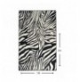 Tapet (160 x 230) Conceptum Hypnose Zebra Multicolor