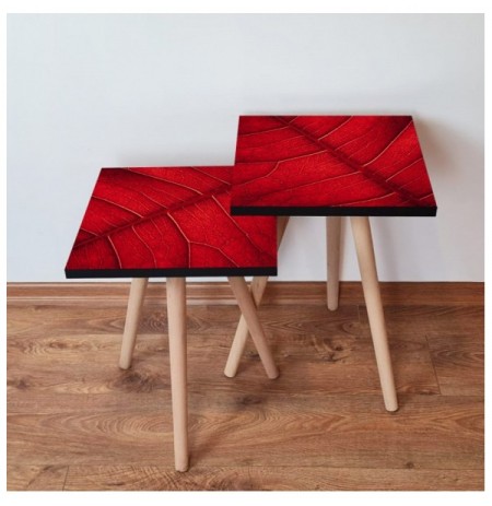 Set tavoline (2 Pc) Kalune Design 2Shp104 - Red Red