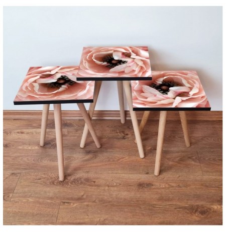 Set tavoline (3 Pc) Kalune Design 3Shp251 - Salmon Salmon Brown White