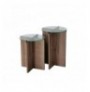 Set tavoline (2 Pc) Kalune Design Lily - Walnut Walnut