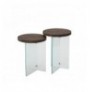 Set tavoline kafeje Kalune Design Serenity 2 - Transparent, Walnut Transparent Walnut