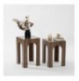 Set tavoline kafeje Kalune Design Seine Set - Transparent, Walnut Transparent Walnut