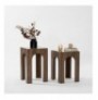 Set tavoline kafeje Kalune Design Seine Set - Transparent, Walnut Transparent Walnut