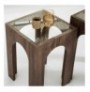 Set tavoline kafeje Kalune Design Seine Set - Transparent, Walnut Transparent Walnut