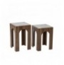 Set tavoline kafeje Kalune Design Seine Set - Transparent, Walnut Transparent Walnut