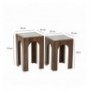 Set tavoline kafeje Kalune Design Seine Set - Transparent, Walnut Transparent Walnut