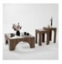 Set tavoline kafeje Kalune Design Seine Set - Transparent, Walnut Transparent Walnut