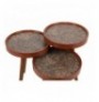 Set tavoline (3 Pc) Kalune Design Linea Walnut Grey