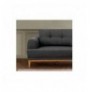 Set ( 3 Pc ) Divan + kolltuk Atelier del Sofa Vina Set - Anthracite, Atlantic Pine Anthracite Atlantic Pine