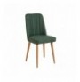 Set 4 Pc Tavoline ngrenie me hapje + Karrige Kalune Design Vina 1070 - 3 - Atlantic, Green Atlantic Pine Green