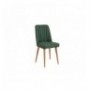 Set 3 Pc Tavoline ngrenie me hapje + Karrige Kalune Design Vina 1070 - Atlantic Pine, Green Atlantic Pine Green