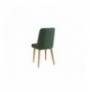 Set 3 Pc Tavoline ngrenie me hapje + Karrige Kalune Design Vina 1070 - Atlantic Pine, Green Atlantic Pine Green