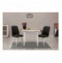 Set 3 Pc Tavoline ngrenie me hapje + Karrige Kalune Design Vina 1053 - White, Anthracite White Anthracite