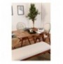 Set ( 6 Pc ) Tavoline + karrige Kalune Design Touch (4S-1B) Walnut Cream