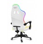 Karrige Gaming Huzaro Force 4.4 RGB White