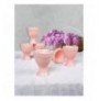 Set mbajtese veze ( 6 Pc) ST005106F971A0000000AV0700 Pink