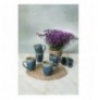 Set filxhan ( 6 Pc ) Shizen Q39 - Blue Blue