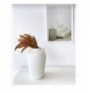 Vazo Trove Pottle - White White