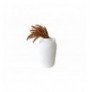 Vazo Trove Pottle - White White