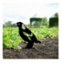 Objekt dekorues Tanelorn Bird 03 Black