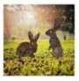 Set objekt dekorues ( 2 Pc ) Tanelorn Rabbits -A 01 Multicolor