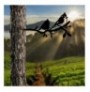 Objekt dekorues Tanelorn Bird On The Branch 07 - Black Black