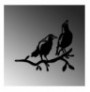 Objekt dekorues Tanelorn Bird On The Branch 09 - Black Black