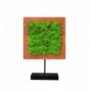 Objekt dekorues Markham Square Moss 27 Walnut Black Green