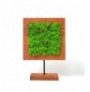 Objekt dekorues Markham Square Moss 28 Walnut Black Green