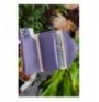 Woman's Wallet Garbalia Envelope - Lilac